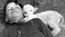 baby animals black and white 2776468 3426x2690 888x544