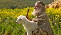 shepherd lost sheep 1225064 wallpaper