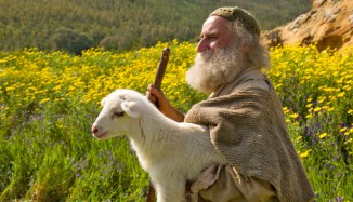 shepherd lost sheep 1225064 wallpaper