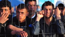 immigrati